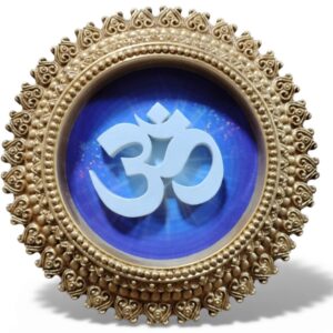 Ohm 6" dia